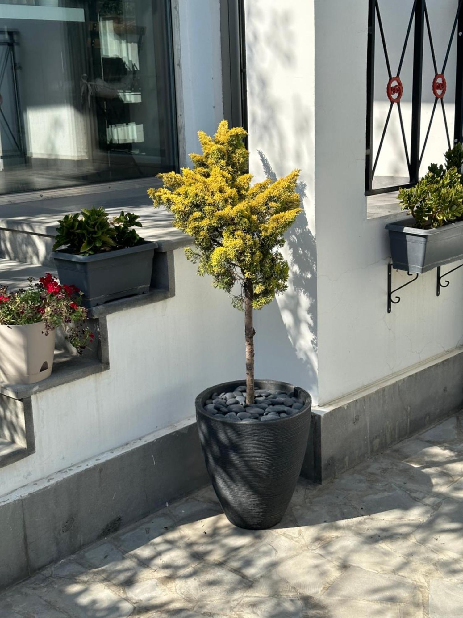 Garden Lounge Hotel Erywań Zewnętrze zdjęcie